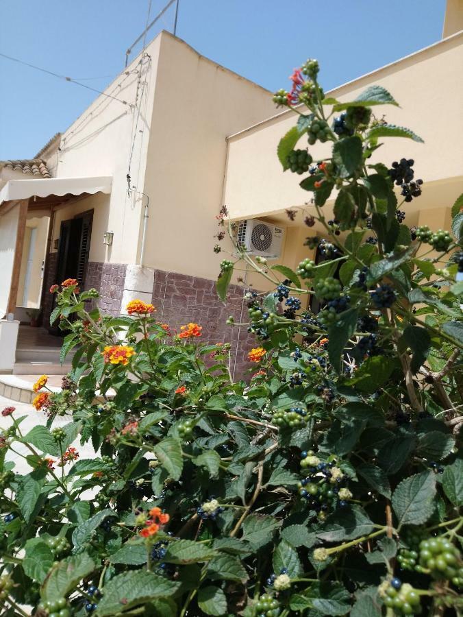 Apartment Of Kite And Wine Біргі Веччі Екстер'єр фото